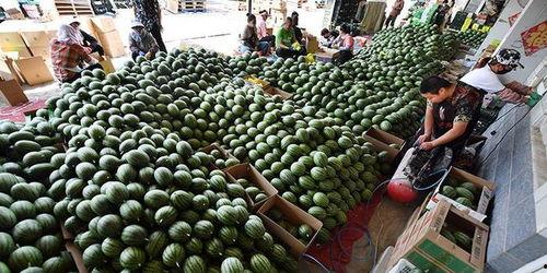 吃瓜题目,吃瓜群众眼中的明星幕后故事