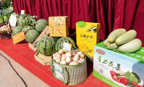 淮北吃瓜群,揭秘当地特色美食与生活趣事