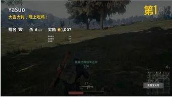 麻瓜龙吃鸡视频,趣味横生美食之旅