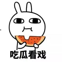 吃瓜焦点,揭秘娱乐圈最新热点事件