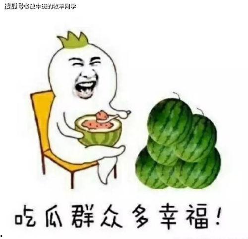 吃瓜焦点,揭秘娱乐圈最新热点事件