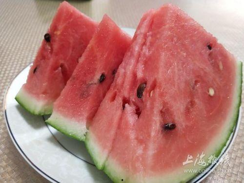 国家特级吃瓜专员