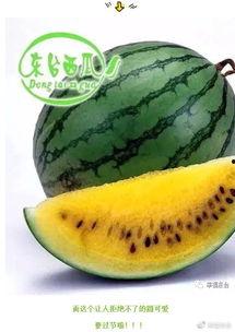 17吃瓜爆料集合,娱乐圈幕后真相大揭秘