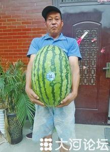 51吃瓜今日大瓜,揭秘今日娱乐圈大瓜，明星隐私曝光引热议