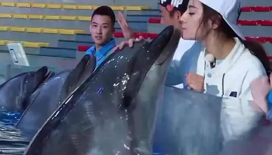 小海豚吃瓜,小海豚的夏日瓜果盛宴