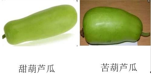 吃瓜应该怎么发,揭秘网络围观的力量