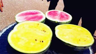 吃瓜爆料四大瓜是指什么,娱乐圈幕后真相大曝光