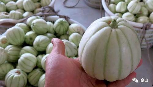 吃瓜爆料四大瓜是指什么,娱乐圈幕后真相大曝光