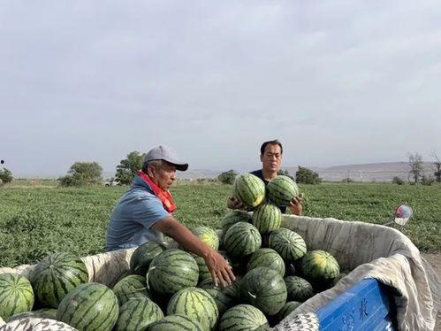 吃瓜群众三仙归洞,神秘传说背后的奇幻之旅