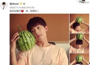 吃瓜大比拼,揭秘娱乐圈幕后风云