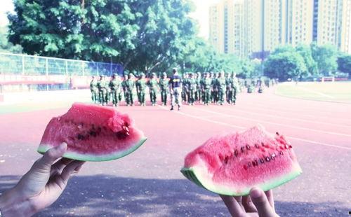 吃瓜群众在北极