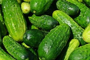 梦见自己吃的好多瓜,瓜果盛宴，揭秘梦境中的美食诱惑