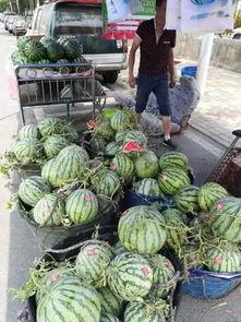 潍坊吃瓜新闻事件,一场网络舆论的风暴与反思