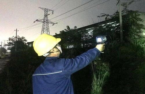 龙南吃瓜群众,揭秘当地热门话题背后的故事