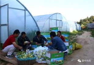 龙南吃瓜群众,揭秘当地热门话题背后的故事