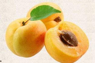 吃瓜汾阳,探寻民间美食与民俗风情