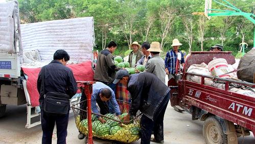 太仓市吃瓜群众,揭秘当地生活百态