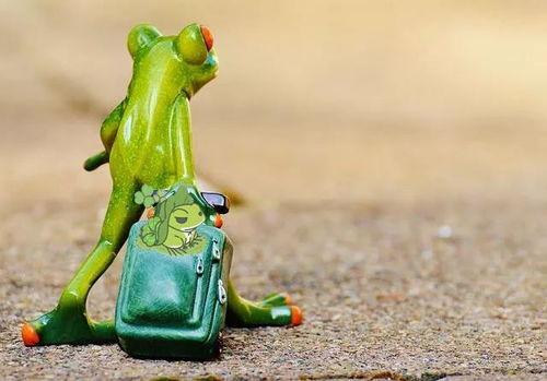 穿青蛙服吃瓜,夏日吃瓜狂欢记