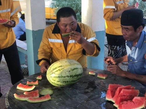 温暖人心吃瓜送清凉,吃瓜送清凉，共享清凉时光