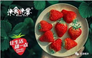 草莓瓜可以吃吗,美味可口的天然水果，你了解多少？