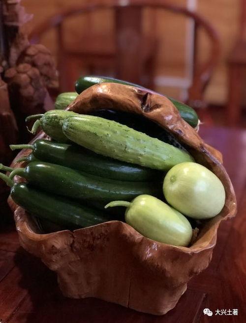 礼县网红吃瓜,揭秘网络红人的幕后生活