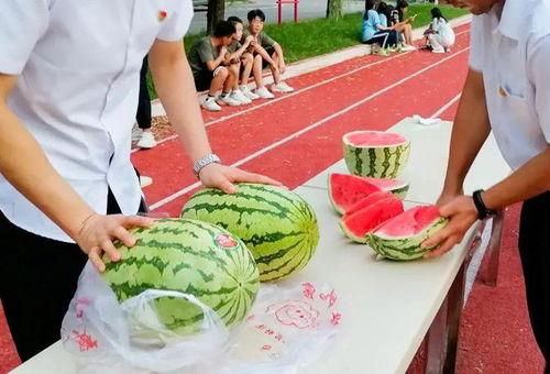 夏季吃瓜比赛,瓜王争霸赛，谁将摘得“吃瓜达人”桂冠？