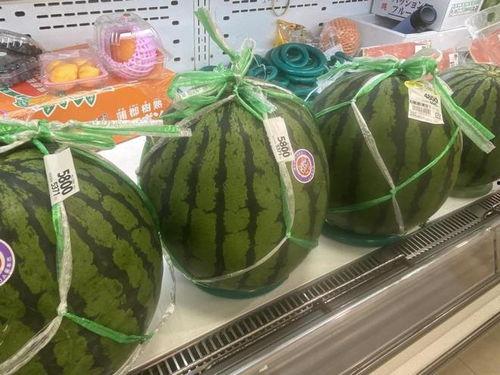 国际吃瓜日,揭秘全球“瓜界”狂欢盛况