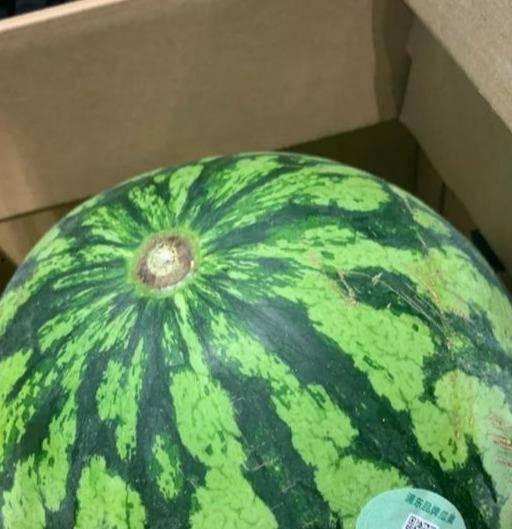 吃瓜真假难辨,揭秘网络谣言背后的真相