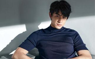 吃瓜罗伯特林更新,林更新新动态引发热议，揭秘娱乐圈背后的故事