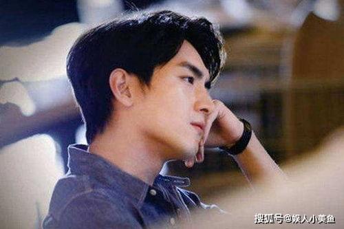 吃瓜罗伯特林更新,林更新新动态引发热议，揭秘娱乐圈背后的故事