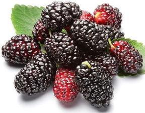 蓟县吃瓜,探寻吃瓜的乐趣与风情