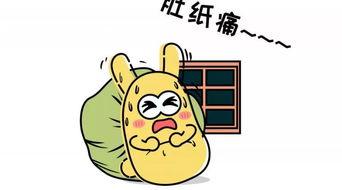 午休丨吃瓜群众,吃瓜群众的欢乐盛宴