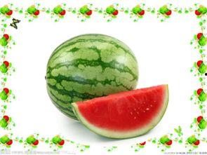 可以吃瓜的小说,揭开小说中的神秘瓜界之谜