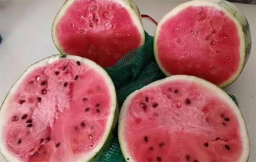 冬天怎么吃麒麟瓜,冬日暖阳下的麒麟瓜美食之旅