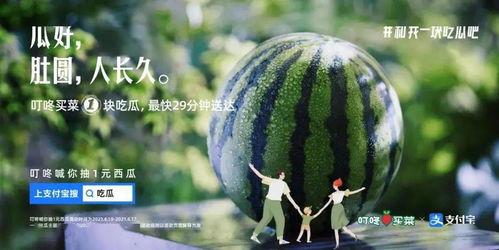 时团吃瓜博,娱乐圈幕后真相大曝光