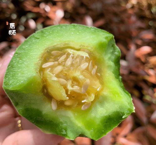 时团吃瓜博,娱乐圈幕后真相大曝光