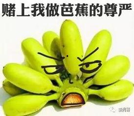 相爱相思吃瓜,瓜田里的甜蜜邂逅