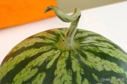 杨弯梁吃瓜,揭秘娱乐圈幕后故事