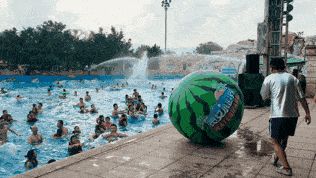 吃瓜冲浪测试,揭秘网络舆论背后的真相与技巧