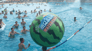 吃瓜冲浪测试,揭秘网络舆论背后的真相与技巧