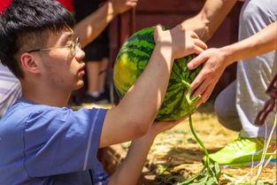 麻绳泰剧吃瓜,一场吃瓜群众的狂欢盛宴