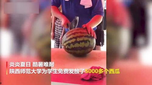 吃瓜视频拉新,揭秘校园新鲜事，带你领略青春风采