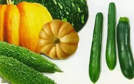 河北鄚州吃瓜,探寻河北鄚州的甜蜜诱惑